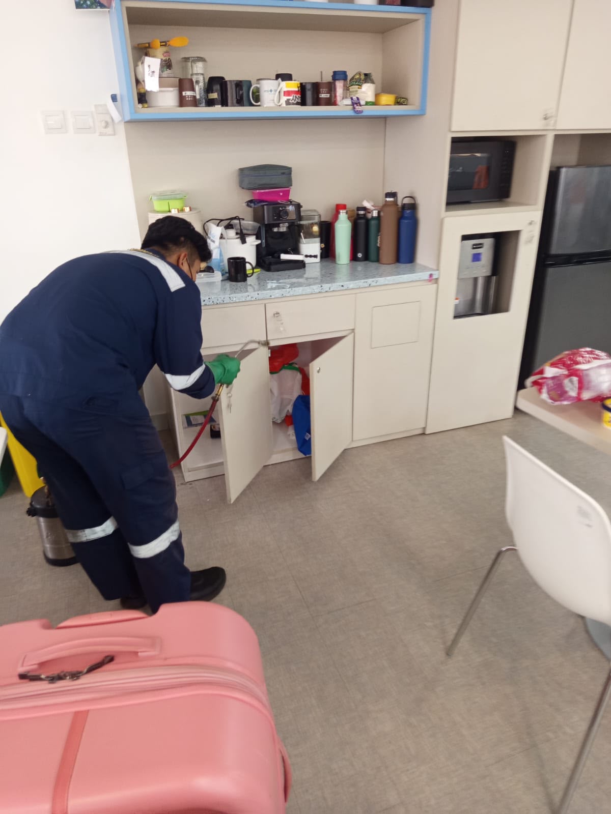 Pest control hotel