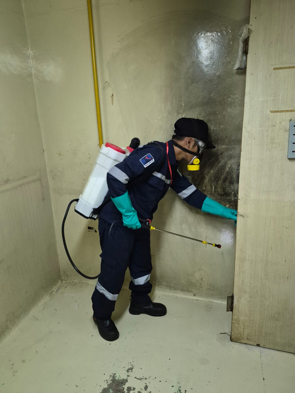 Teknisi GreenShield Pest Control sedang bekerja